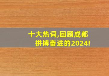 十大热词,回顾成都拼搏奋进的2024!