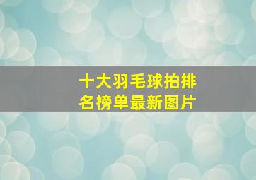 十大羽毛球拍排名榜单最新图片