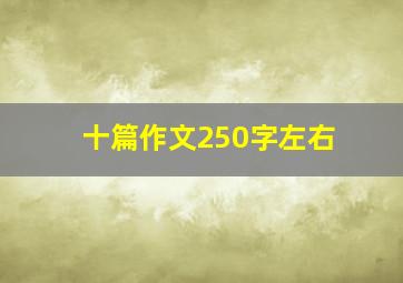 十篇作文250字左右