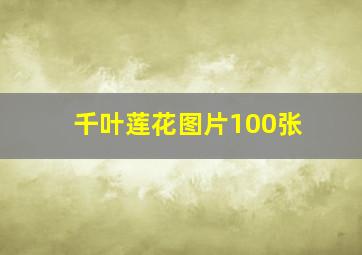 千叶莲花图片100张