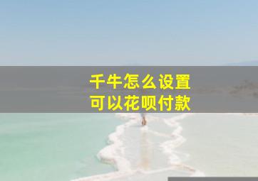 千牛怎么设置可以花呗付款