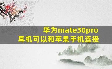 华为mate30pro耳机可以和苹果手机连接