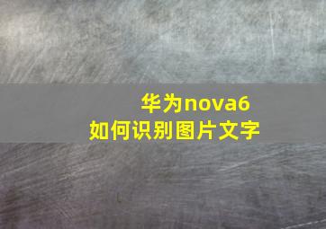 华为nova6如何识别图片文字