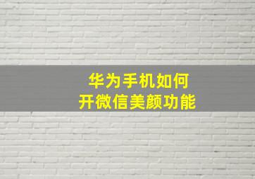 华为手机如何开微信美颜功能