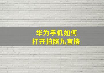 华为手机如何打开拍照九宫格