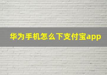 华为手机怎么下支付宝app