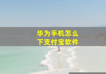 华为手机怎么下支付宝软件