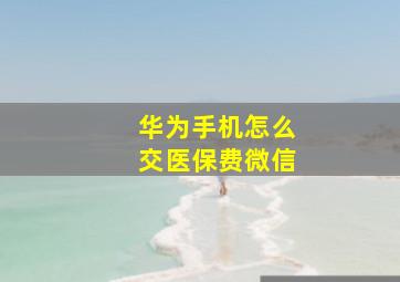 华为手机怎么交医保费微信