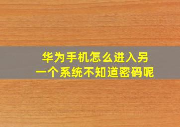 华为手机怎么进入另一个系统不知道密码呢