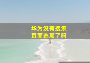 华为没有搜索页面选项了吗