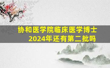 协和医学院临床医学博士2024年还有第二批吗