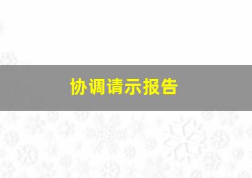 协调请示报告