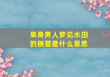 单身男人梦见水田的秧苗是什么意思