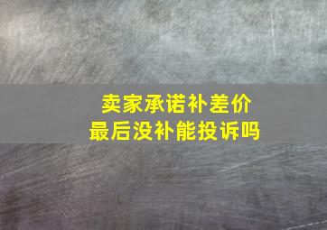 卖家承诺补差价最后没补能投诉吗