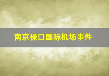 南京禄口国际机场事件