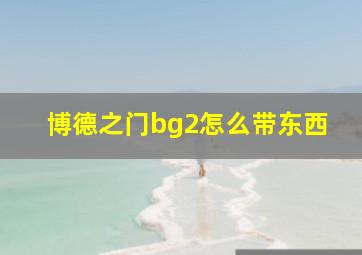 博德之门bg2怎么带东西