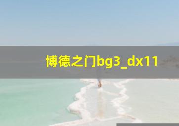 博德之门bg3_dx11