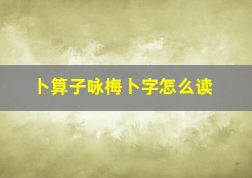 卜算子咏梅卜字怎么读