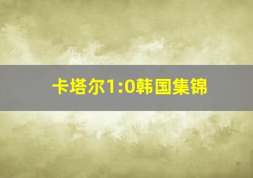 卡塔尔1:0韩国集锦