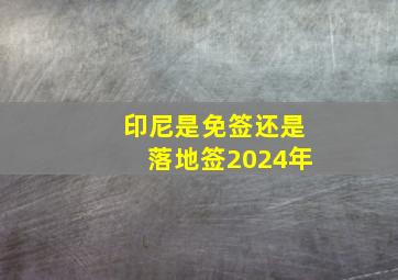 印尼是免签还是落地签2024年