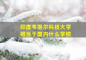 印度韦洛尔科技大学相当于国内什么学校