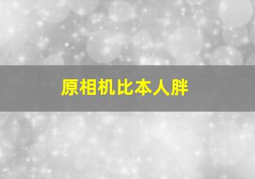 原相机比本人胖