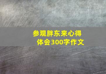 参观胖东来心得体会300字作文