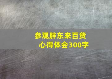 参观胖东来百货心得体会300字