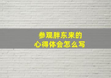 参观胖东来的心得体会怎么写