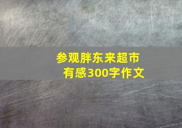 参观胖东来超市有感300字作文