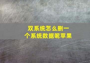 双系统怎么删一个系统数据呢苹果