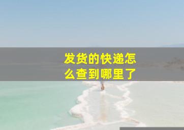 发货的快递怎么查到哪里了