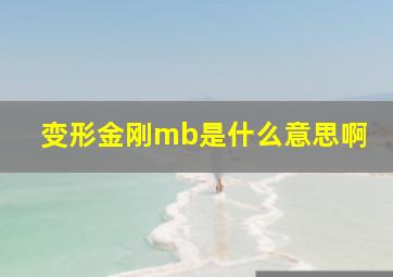 变形金刚mb是什么意思啊