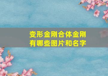 变形金刚合体金刚有哪些图片和名字