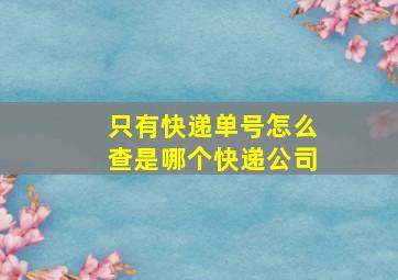 只有快递单号怎么查是哪个快递公司