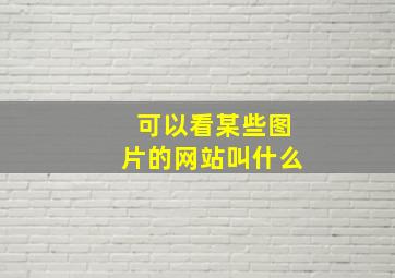 可以看某些图片的网站叫什么