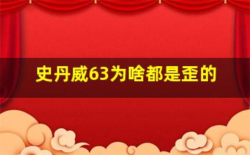 史丹威63为啥都是歪的