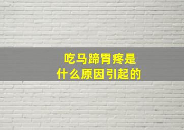 吃马蹄胃疼是什么原因引起的