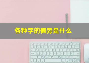 各种字的偏旁是什么