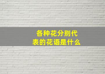 各种花分别代表的花语是什么