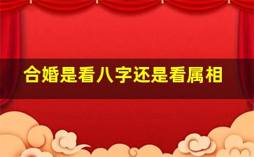 合婚是看八字还是看属相