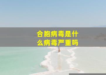 合胞病毒是什么病毒严重吗