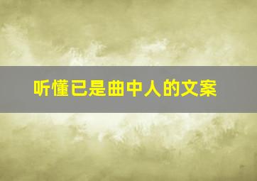 听懂已是曲中人的文案