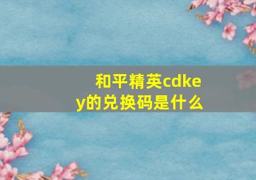 和平精英cdkey的兑换码是什么