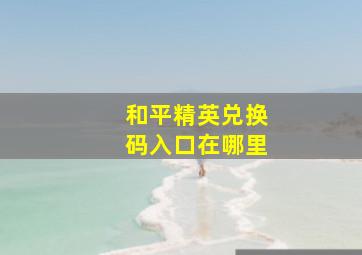 和平精英兑换码入口在哪里