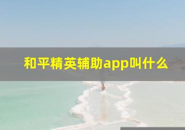 和平精英辅助app叫什么