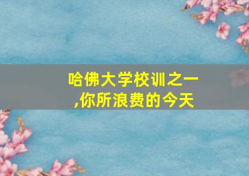 哈佛大学校训之一,你所浪费的今天