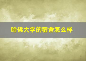 哈佛大学的宿舍怎么样