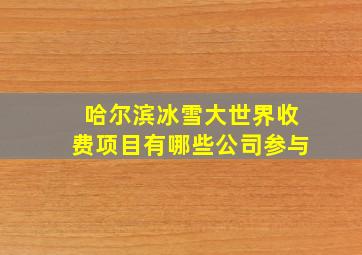 哈尔滨冰雪大世界收费项目有哪些公司参与