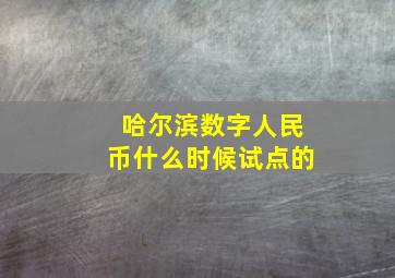 哈尔滨数字人民币什么时候试点的